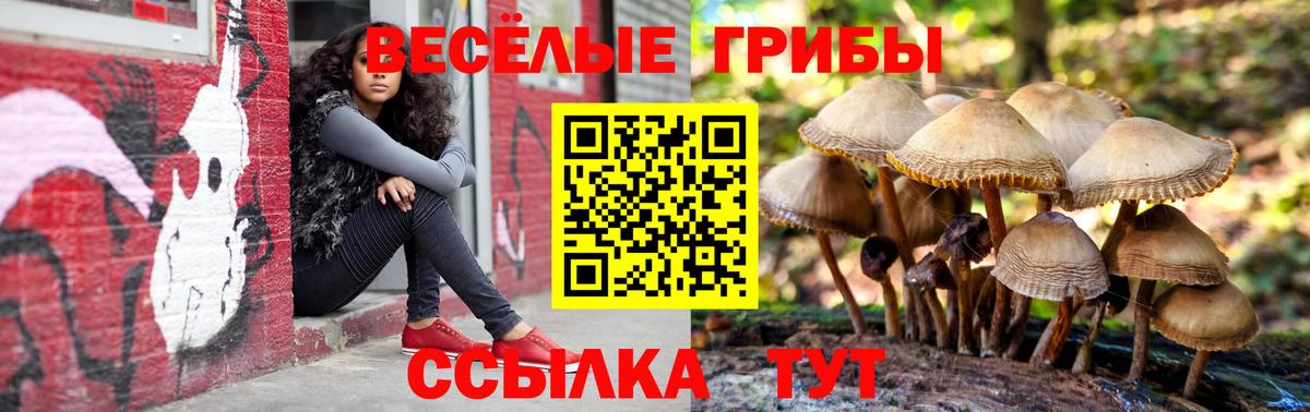 что такое   Галлюциногенные грибы Cubensis  Вход с VPN  Михайловка 